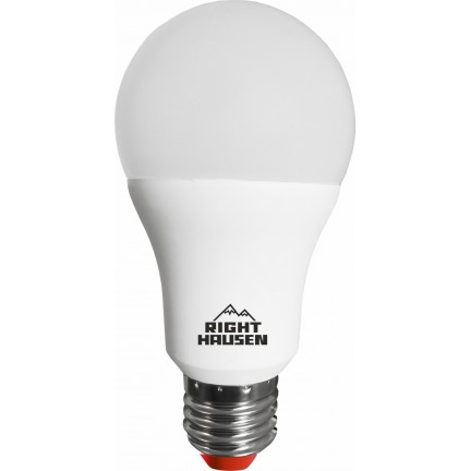 Лампа RIGHT HAUSEN LED Standard A65 16W E27 6500K HN-151042 NEW