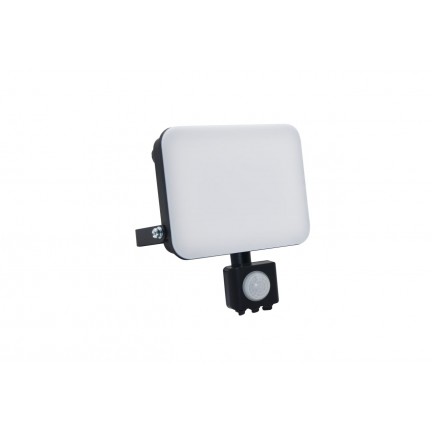 Прожектор RIGHT HAUSEN STANDARD+ LED 50W 6500K IP65 чорний з датчиком руху PR HN-191082 NEW